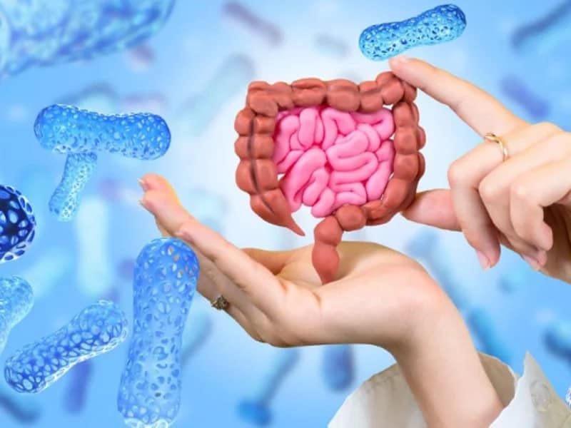 Illustration of a healthy gut microbiome